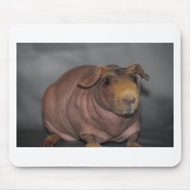 Skinny Pig Mouse Pad (Front)