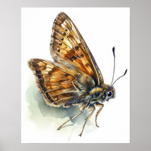 Skipper Butterfly Art Print Poster