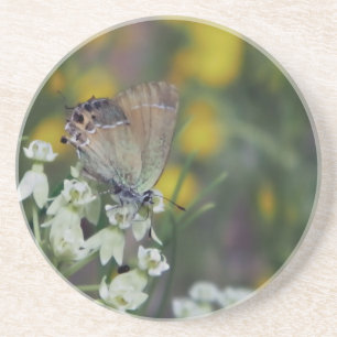 skipper butterfly on a flower coaster