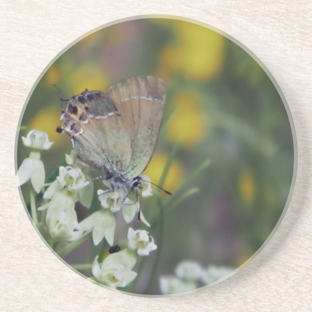 skipper butterfly on a flower coaster (Front)