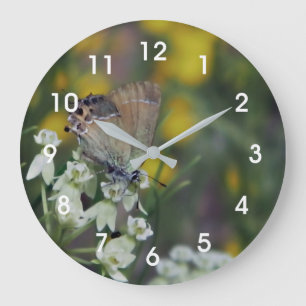 Skipper butterfly on a flower large clock