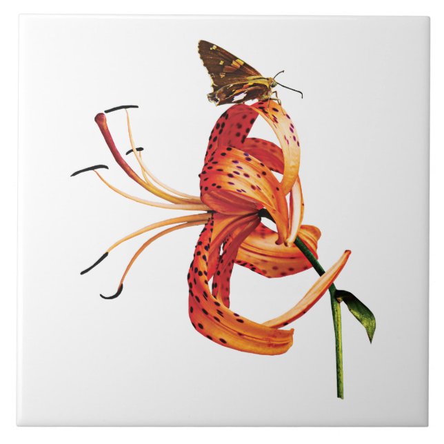 Skipper on Orange Tiger Lily Tile (Front)