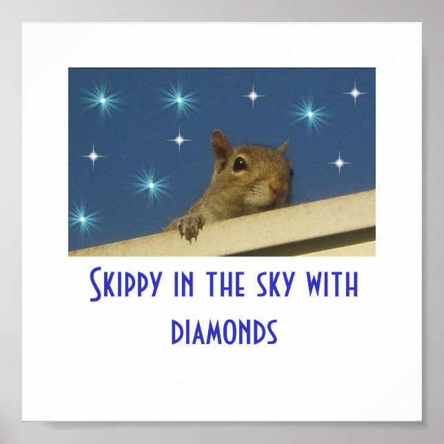 Skippy in the sky with diamonds Poster (Front)