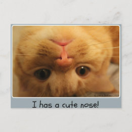 Skippy's Little Nose Postcard