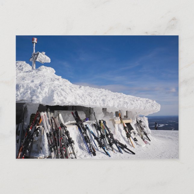 Skis in a ski resort, Lapland postcard (Front)