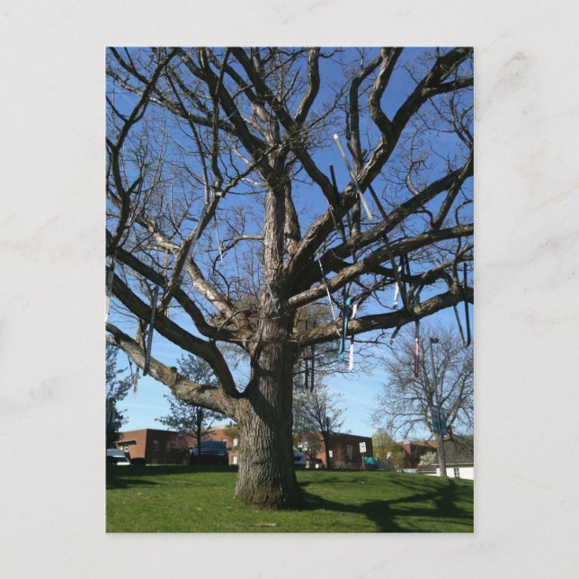 Skis in a tree postcard (Front)