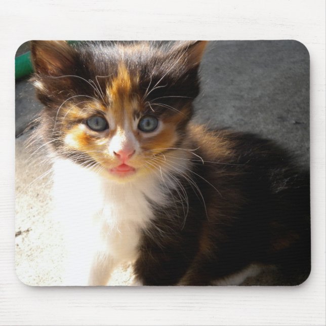 Skittles Mousepad (Front)