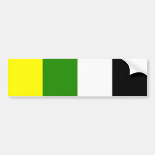 Skoliosexual Pride Bumper Sticker