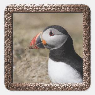 Skomer Island Puffin Stickers