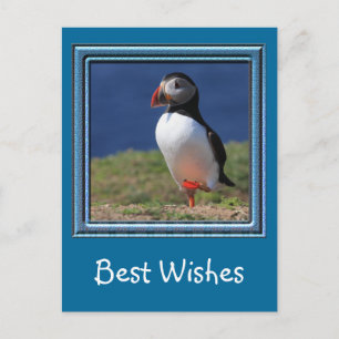 Skomer Island Puffins Postcard