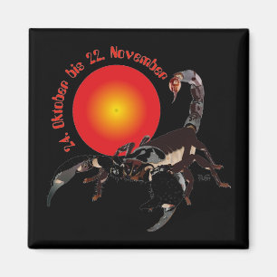 Skorpion 24. Oktober bis 22. November Magnet