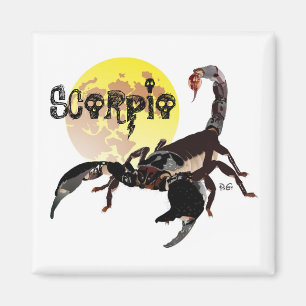 Skorpion Magnet
