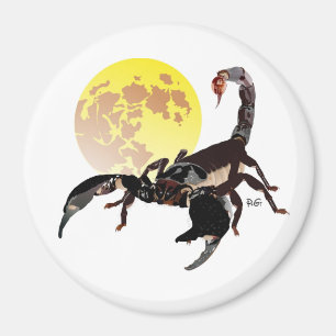 Skorpion Magnet