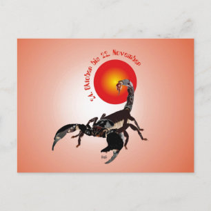 Skorpion Sternzeichen Postkarte Postcard