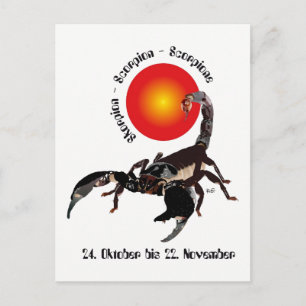 Skorpion Sternzeichen Postkarte Postcard