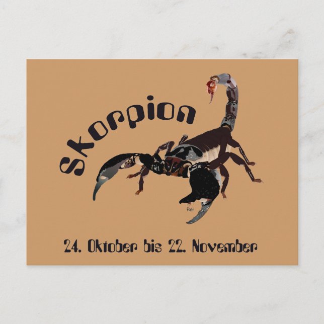 Skorpion Sternzeichen Postkarte Postcard (Front)