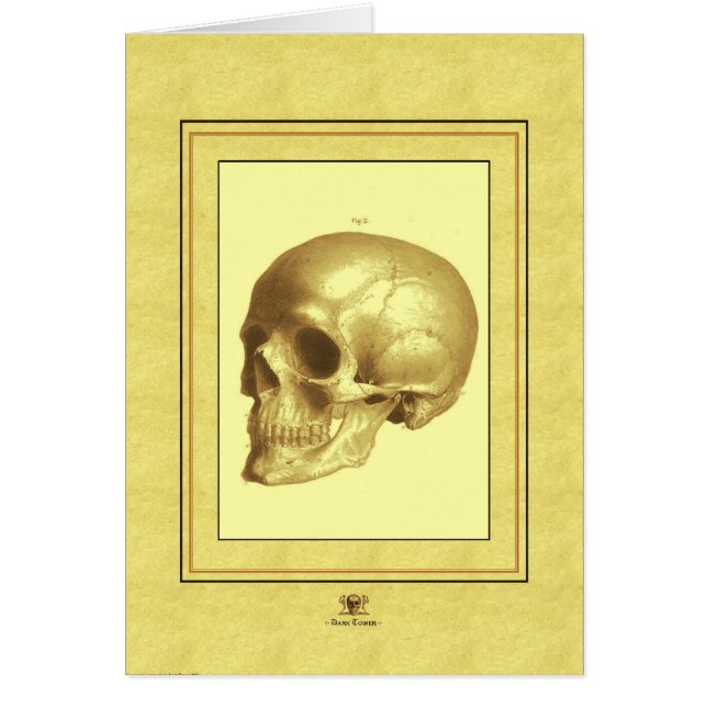 "Skull" (Front)