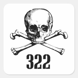 Skull and Bones 322 Square Sticker
