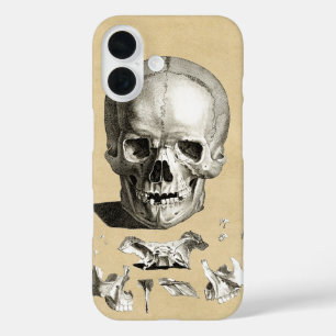 Skull and Bones Anatomy iPhone 16 Case