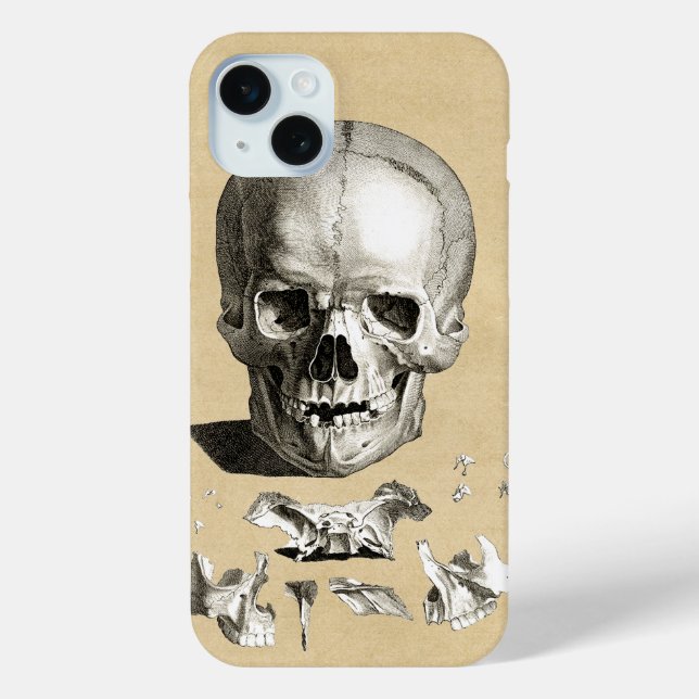Skull and Bones Anatomy Case-Mate iPhone Case (Back)