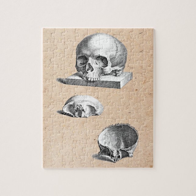Skull and Bones Orthopaedic Drawing Jigsaw Puzzle (Vertical)