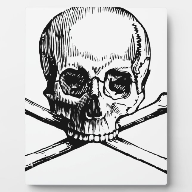 Skull and Bones Plaque (Front)