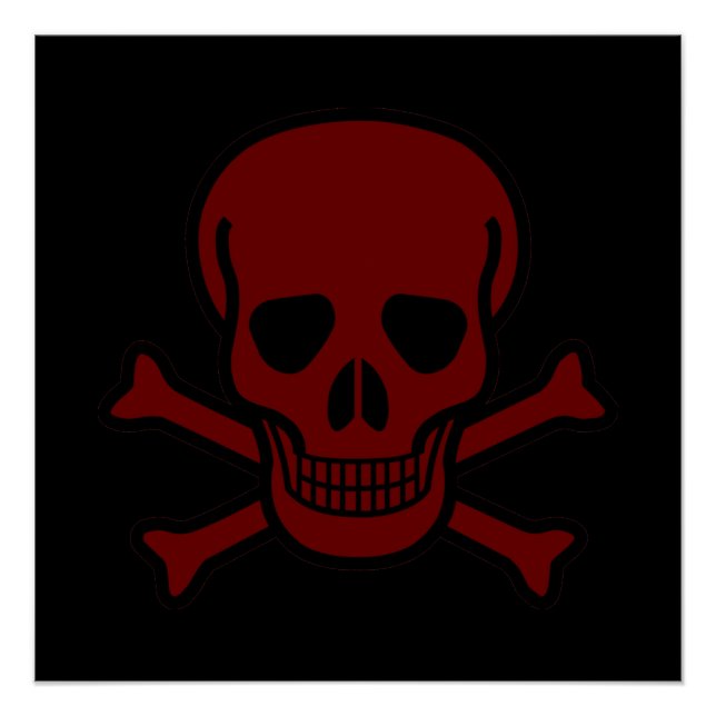 Skull and Bones Poster (Front)