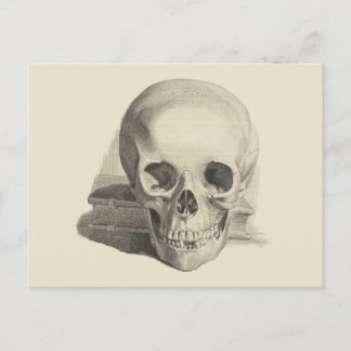 Skull and Book Postcard