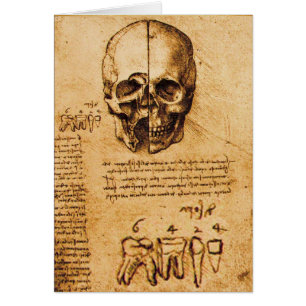 SKULL AND TEETH ,DENTAL CLINIC ,DENTIST Parchment
