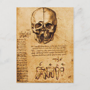 SKULL AND TEETH ,DENTAL CLINIC ,DENTIST Parchment Postcard