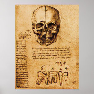 SKULL AND TEETH ,DENTAL CLINIC ,DENTIST POSTER