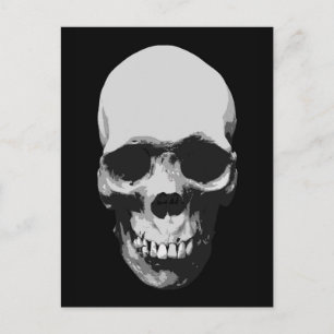 Skull Black & White Pop Art Postcard