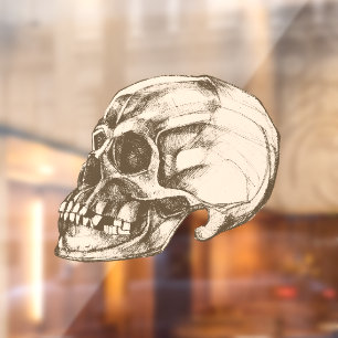 Skull & Bones Halloween