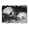 Skull Buddies