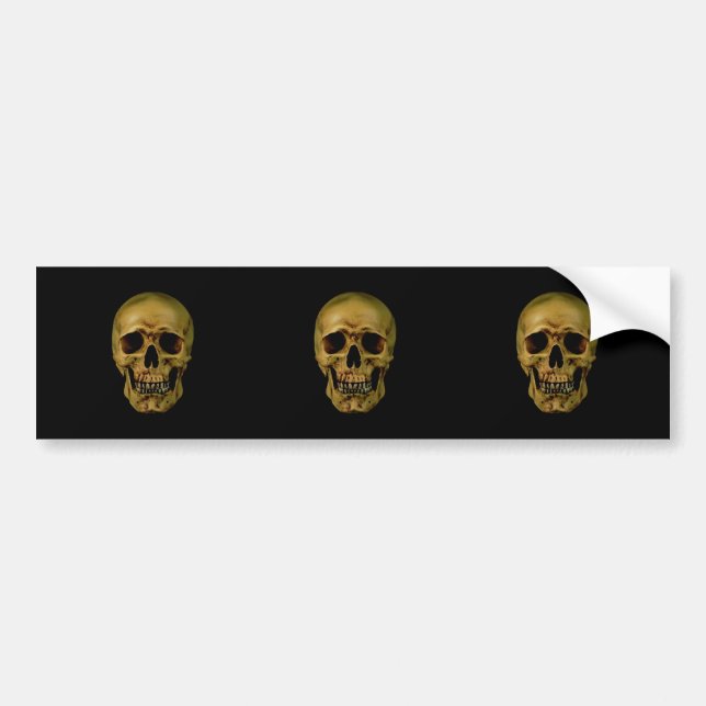 Skull Bumper Sticker (Front)