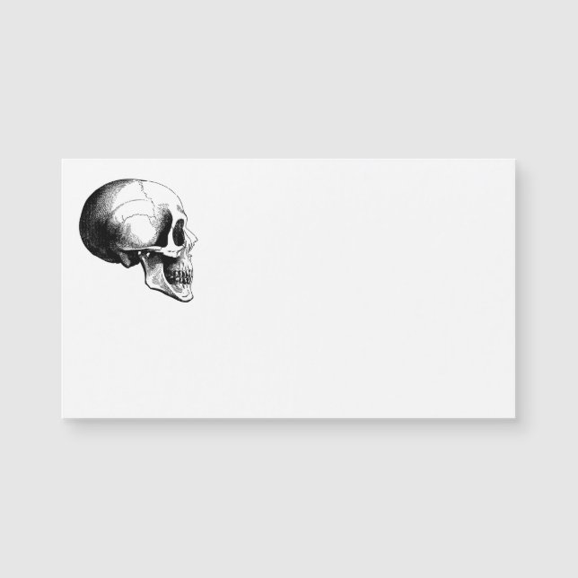 Skull Business Cards (Front)