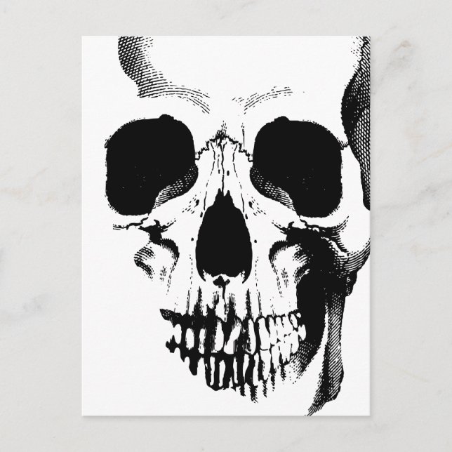 Skull Face Postcard (Front)