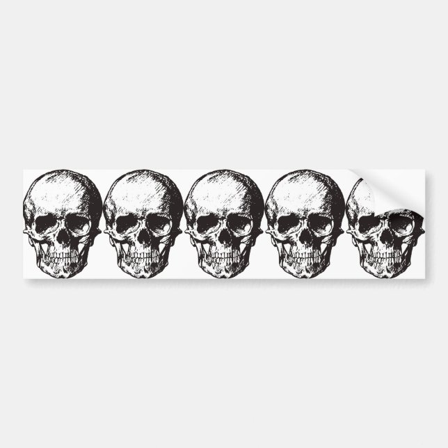 Skull Fantasy Art Rock Punk Heavy Metal Bumper Sticker (Front)