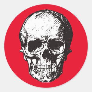 Skull Fantasy Art Rock Punk Heavy Metal Classic Round Sticker