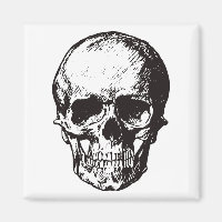 Skull Fantasy Art Rock Punk Heavy Metal