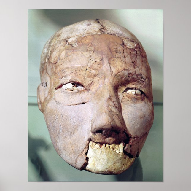 Skull, from Jericho, 7000-6000 BC Poster (Front)