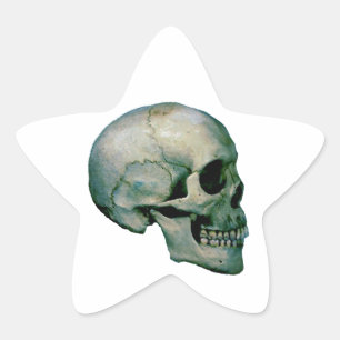 Skull From Profile Star Sticker