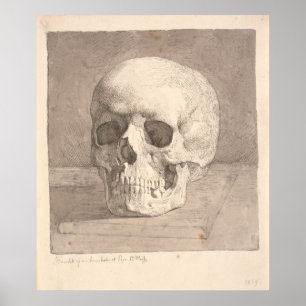 Skull, Front View Poster