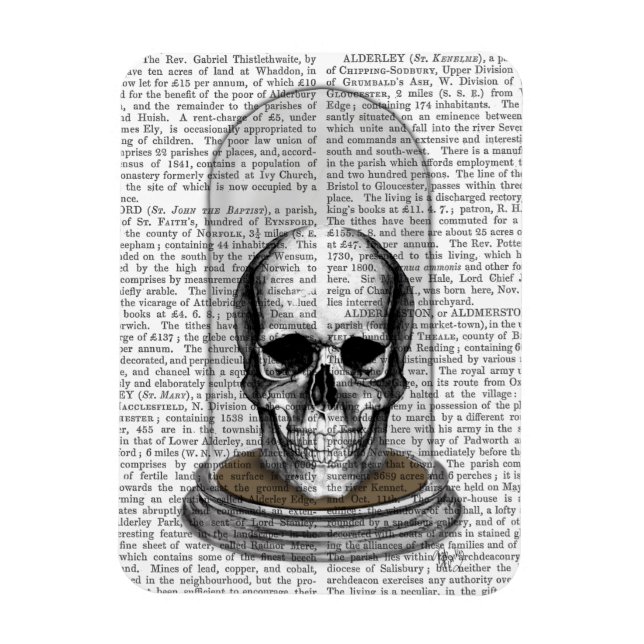 Skull In Bell Jar 2 Magnet (Vertical)