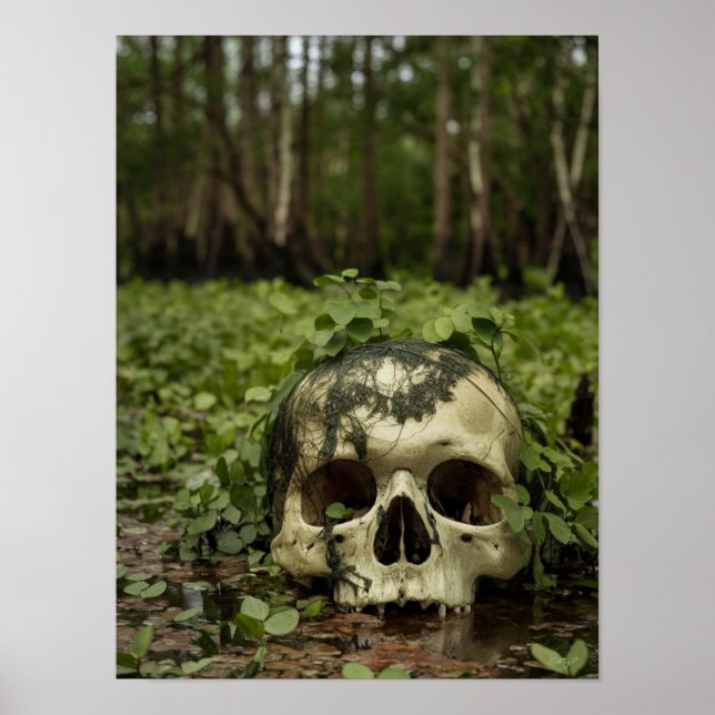 Skull in the Swamp Horror Print Poster Wall Art (Front)