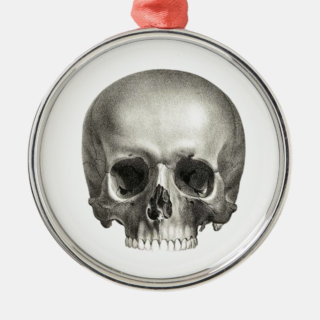 Skull Ornament (Front)