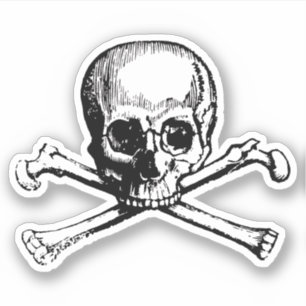 Skull pirate