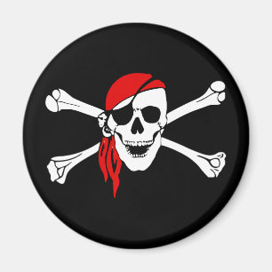 skull pirate magnet