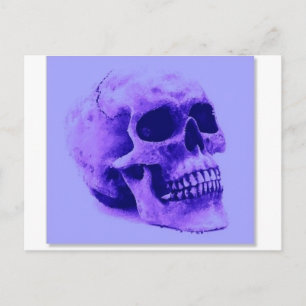 Skull Postcard