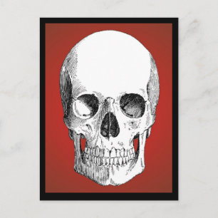 Skull Postcard (Red)